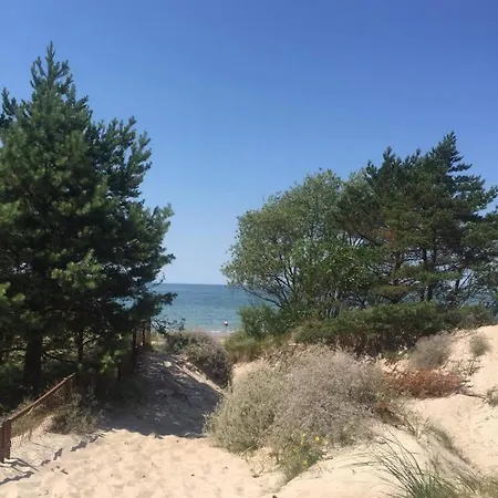 Zalia Kopa With Pool Holiday home Palanga