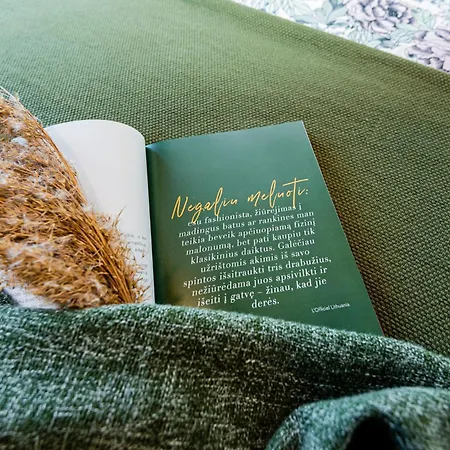 Zalia Kopa With Pool Palanga