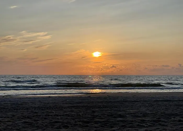 Villa Zalia Kopa With Pool Palanga